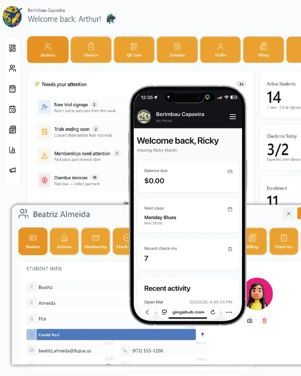 GingaHub capoeira school operations platform